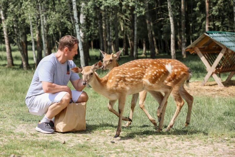 Zwierzęta po niemiecku - 70 nazw z rodzajnikami